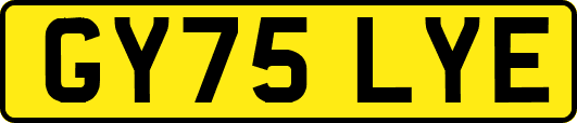 GY75LYE