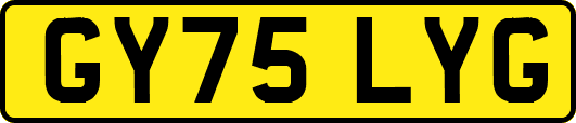 GY75LYG