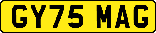 GY75MAG