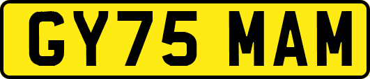 GY75MAM