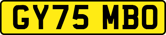 GY75MBO