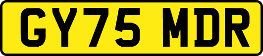 GY75MDR