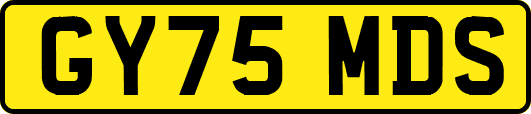 GY75MDS
