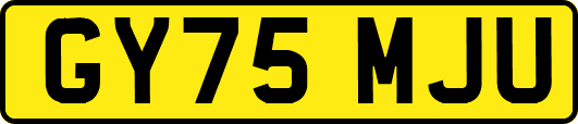GY75MJU