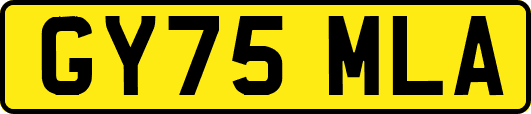 GY75MLA