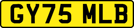 GY75MLB