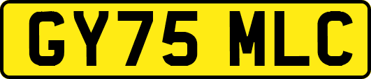 GY75MLC