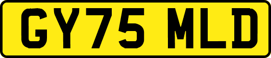 GY75MLD