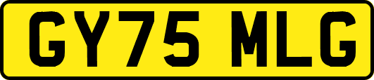 GY75MLG