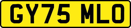 GY75MLO