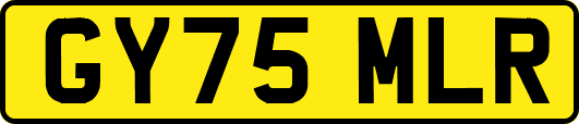 GY75MLR