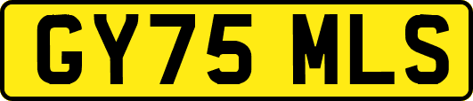 GY75MLS
