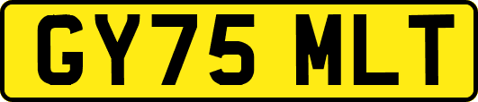 GY75MLT