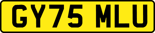 GY75MLU