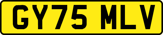 GY75MLV