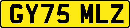 GY75MLZ