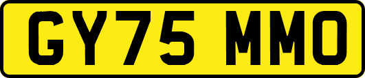 GY75MMO