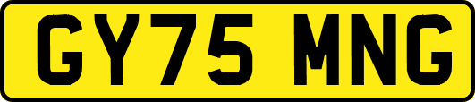 GY75MNG