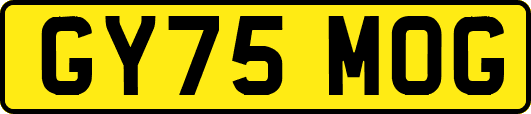 GY75MOG
