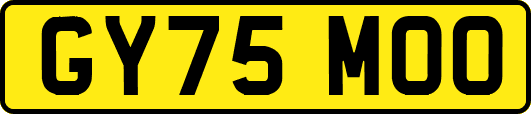 GY75MOO