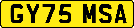GY75MSA