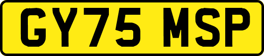 GY75MSP
