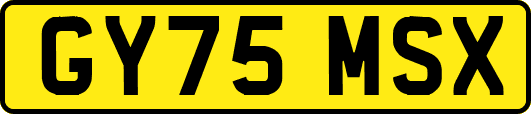 GY75MSX