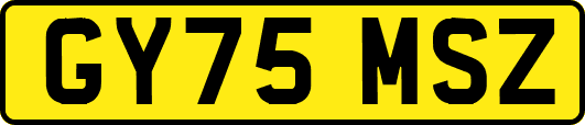 GY75MSZ