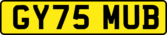 GY75MUB
