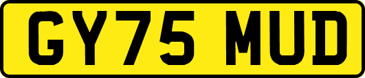 GY75MUD