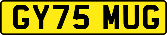 GY75MUG