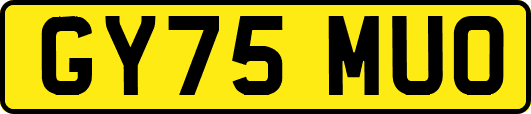 GY75MUO