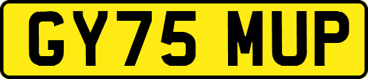 GY75MUP