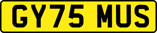 GY75MUS
