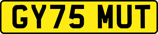 GY75MUT