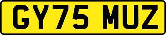 GY75MUZ