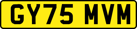 GY75MVM