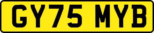 GY75MYB