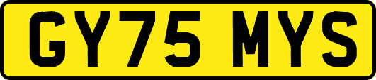 GY75MYS