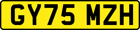 GY75MZH