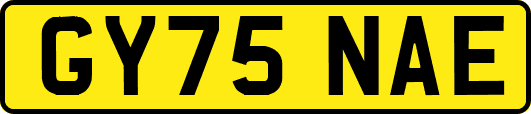 GY75NAE