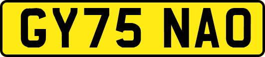 GY75NAO