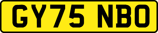 GY75NBO