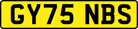 GY75NBS