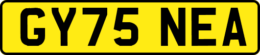 GY75NEA