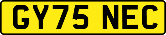 GY75NEC