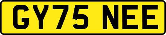 GY75NEE