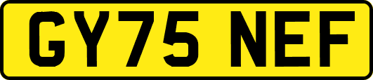GY75NEF