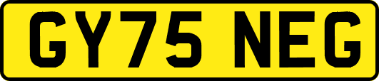 GY75NEG