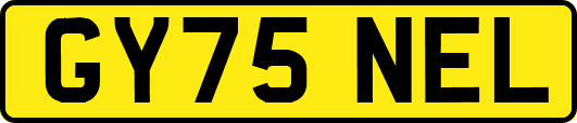 GY75NEL